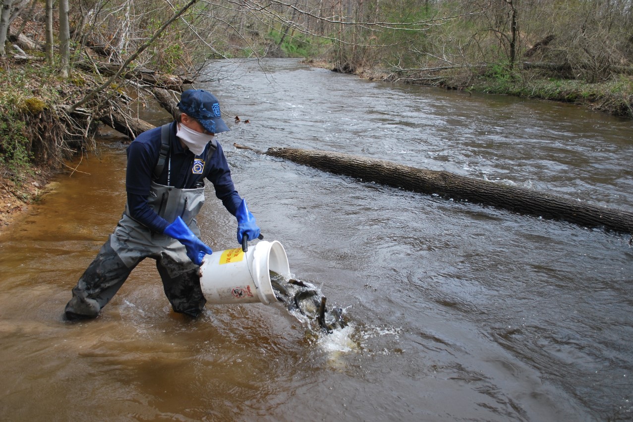 2022 Pa Trout Stocking Schedule
